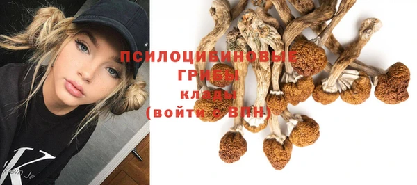 мяу мяу мука Ельня