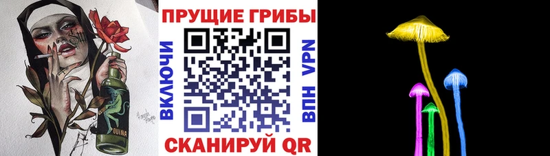 Псилоцибиновые грибы мухоморы  Новая Ладога 